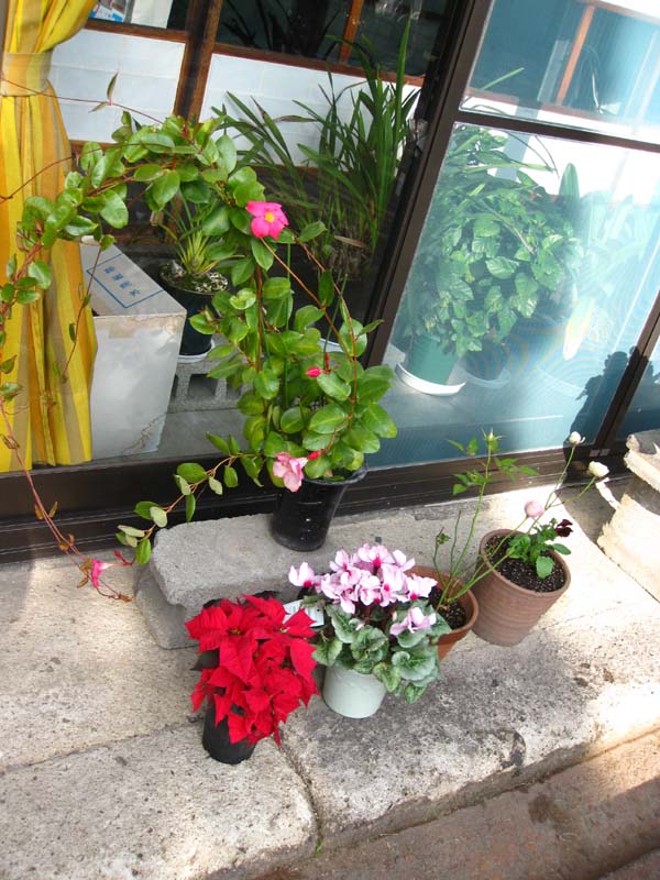 12月には入り 山形は今日もやわらかい日差しでした 古澤酒造株式会社