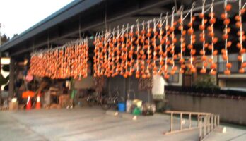 寒河江も秋が深まりました