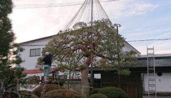 いよいよ冬に準備です