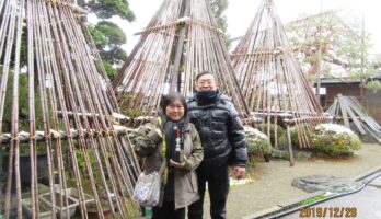 台北からのお客様です