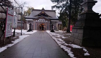 今年は本当に雪が少ないです