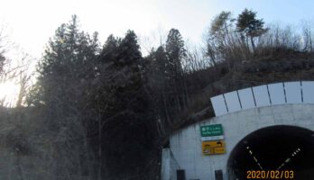 しばらくぶりに車を運転して東京に出ました