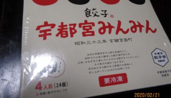 「宇都宮みんみん餃子」を頂きました。