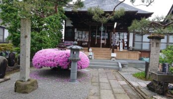 最上三十三観音の16番札所のもみじがきれいです