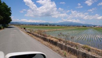 山形は田植えも済んでさわやかな天候が続いています