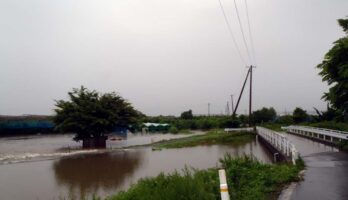 7月28日の豪雨で当社のそば畑が浸水しました、ご心配ありがとございました。