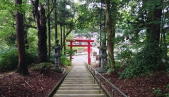 梅雨の中のつかの間の晴れ