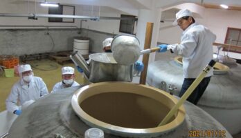 純米大吟醸を搾りました