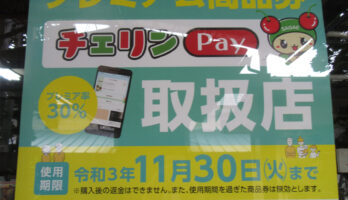 チェリンPeyをご利用くださいませ。