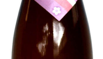 日本酒おじさま、レビュー動画拝見しました!!