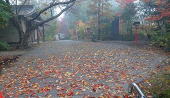 山形も秋が深まりました