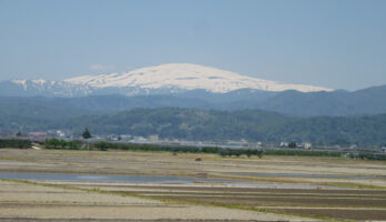 寒河江も、いよいよ田植えが始まります。