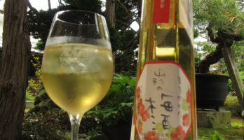皆様、お待たせ致しました！「おもしろ俱楽部まろやかな山形の梅酒」発売です‼