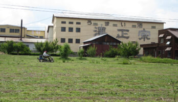 古澤酒造そば畑、２回目の草刈りを行いました！