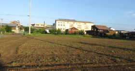 古澤酒造蕎麦畑、耕運して頂きました。