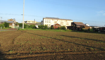 古澤酒造蕎麦畑、耕運して頂きました。