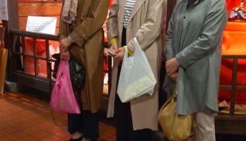 青森から古典桜と古典雛と銘酒に出会いたくて、　　　　　古澤酒造資料館にお越しくださいました！