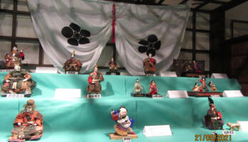 古澤酒造資料館では「酒蔵の端午の節句展」開催中です！