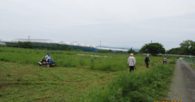 古澤酒造・蕎麦畑の草刈りを行いました！