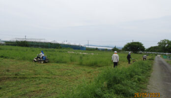 古澤酒造・蕎麦畑の草刈りを行いました！