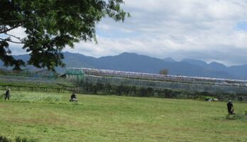 世界中のお客様の笑顔を想い、蕎麦畑草刈りを行いました。