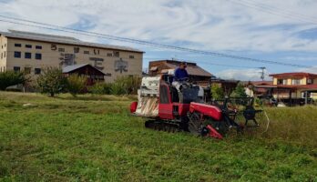 弊社の蕎麦畑の蕎麦刈を行いました！