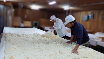 日本の「伝統的酒造り」ユネスコ無形文化遺産登録決定！！