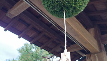 新酒「澤正宗槽前酒」「澤正宗初しぼり」のお買い上げ感謝申し上げます。