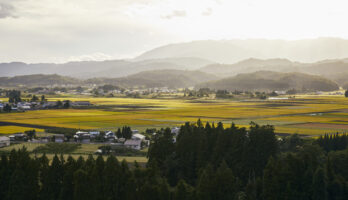 地域ごとの日本酒文化｜山形から見る多様性と受賞歴