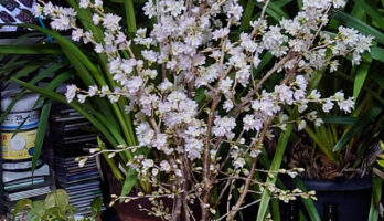 天気予報では大雪注意の中、東京に行ってきました。