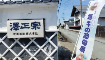 【山形　寒河江】酒蔵資料館が端午の節句展示になりました